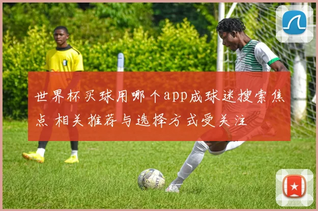 世界杯买球用哪个app成球迷搜索焦点 相关推荐与选择方式受关注