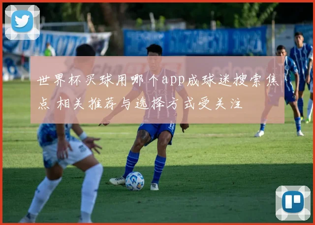 世界杯买球用哪个app成球迷搜索焦点 相关推荐与选择方式受关注