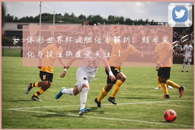 体彩世界杯波胆倍率解析:赔率变化与投注热度受关注_1