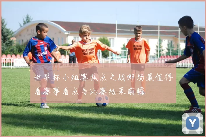 世界杯小组赛焦点之战哪场最值得看赛事看点与比赛结果前瞻