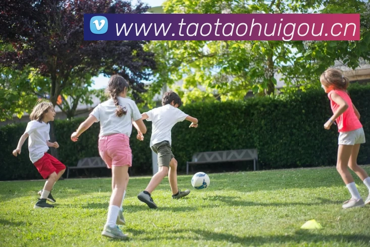 多媒体互动体验